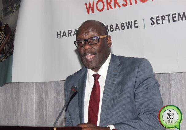 parirenyatwa on striking doctors