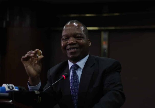 Mosi-Oa-Tunya Gold Coins